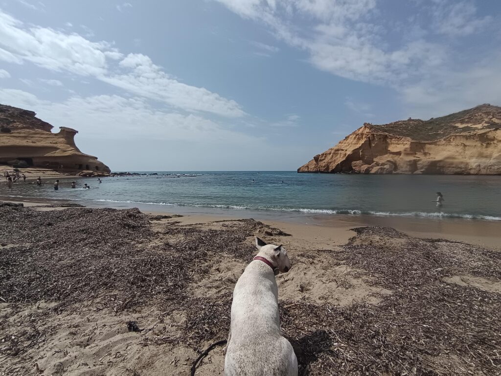 Viaggio nella penisola Iberica: los cocedores