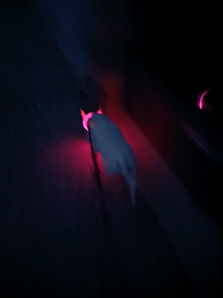 Viaggio nella penisola Iberica: nuri black out