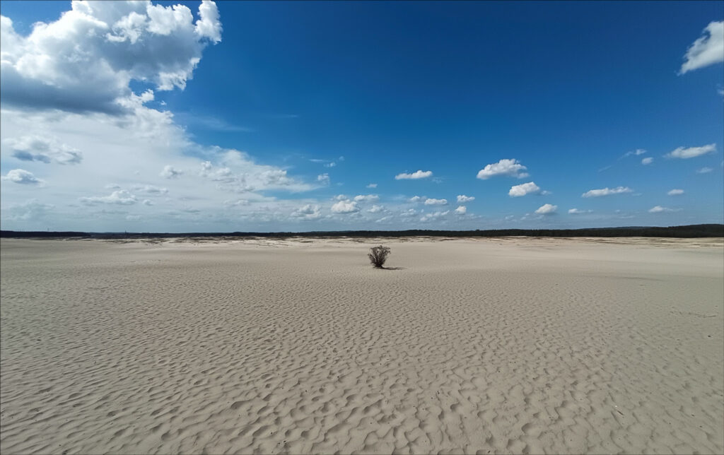 alla conquista del baltico: deserto di Błędów