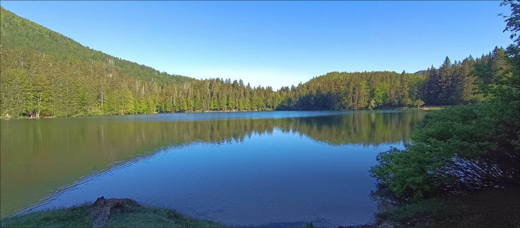 alla conquista del baltico: laghi di fusine